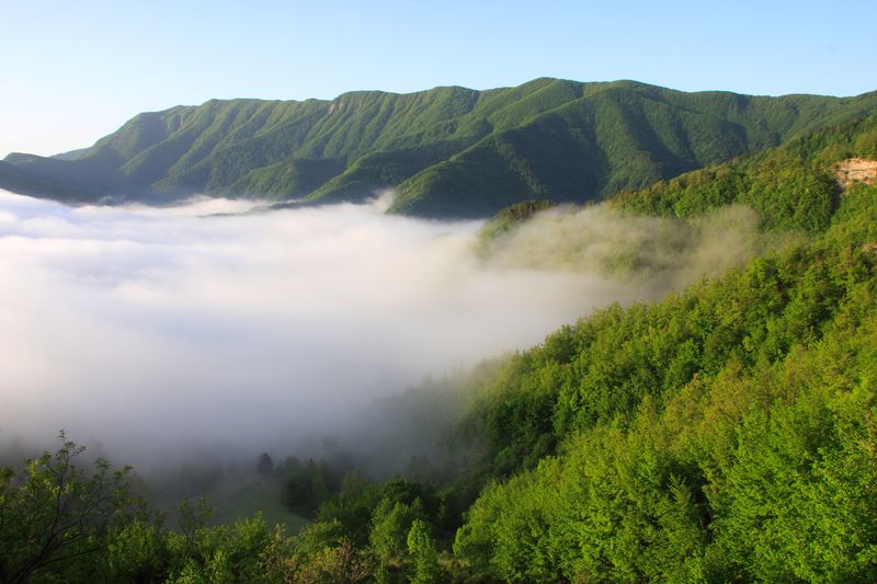 Parco delle Foreste Casentinesi (fotografia di Alessandro Cappuccioni)